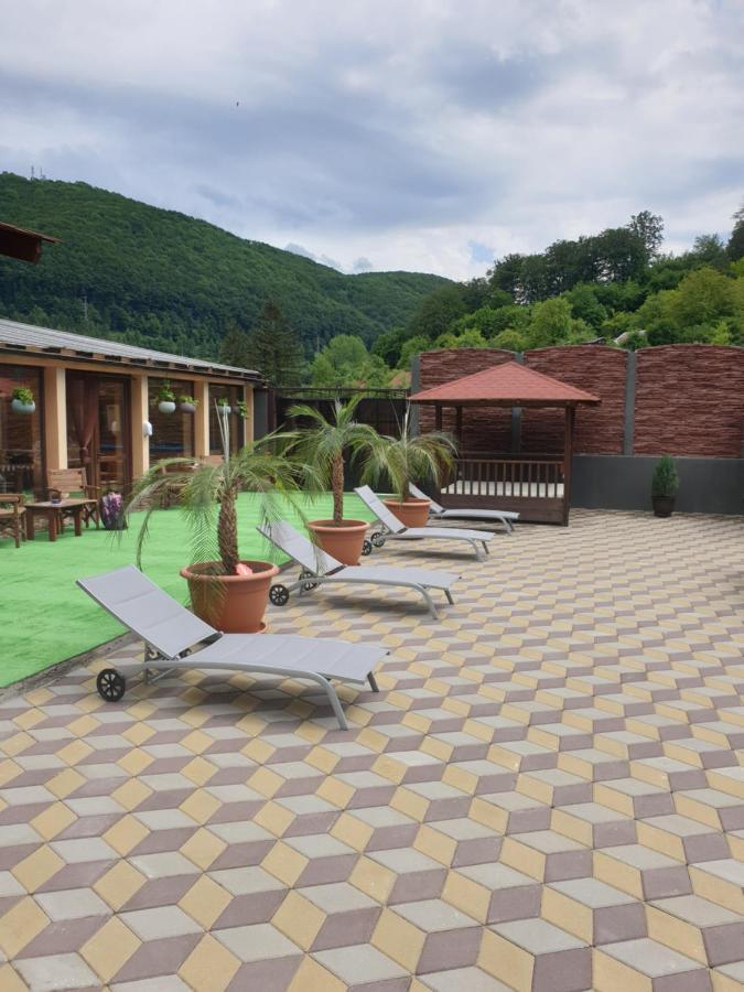 Casa Piri Otel Anina Dış mekan fotoğraf