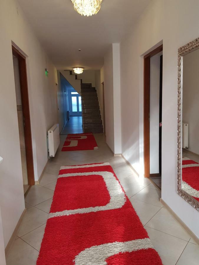 Casa Piri Otel Anina Dış mekan fotoğraf