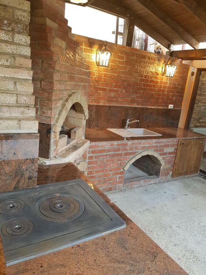 Casa Piri Otel Anina Dış mekan fotoğraf
