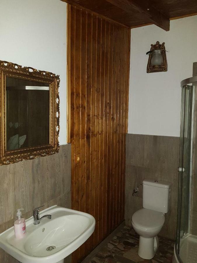 Casa Piri Otel Anina Dış mekan fotoğraf