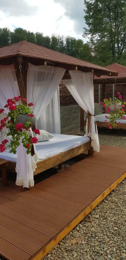 Casa Piri Otel Anina Dış mekan fotoğraf