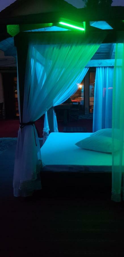 Casa Piri Otel Anina Dış mekan fotoğraf
