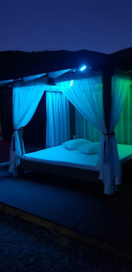 Casa Piri Otel Anina Dış mekan fotoğraf