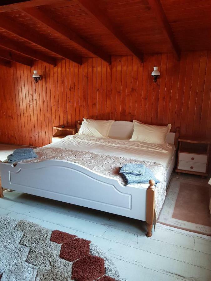 Casa Piri Otel Anina Dış mekan fotoğraf